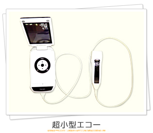 超小型エコー